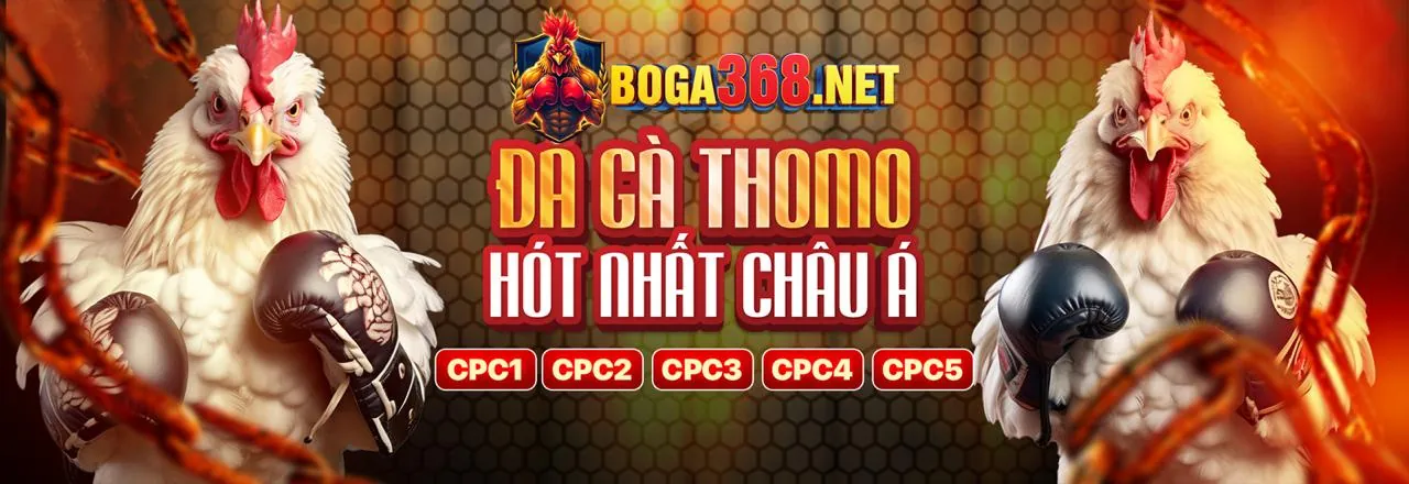 Tải ứng dụng suncity trang chủ chính thức